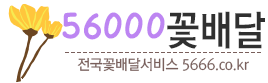 56000꽃배달